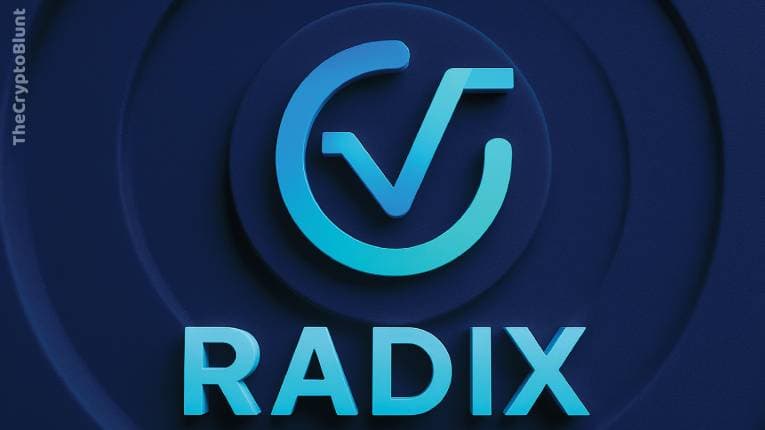 what is radix