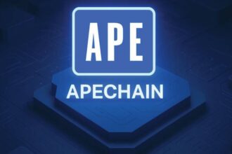 What is ApeChain ? What It Is, Overview, Works, Guides, Everything You Need to Know